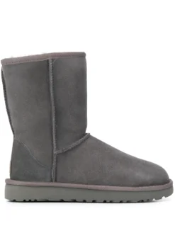Women UGG Classic Ugg Ankle Boots