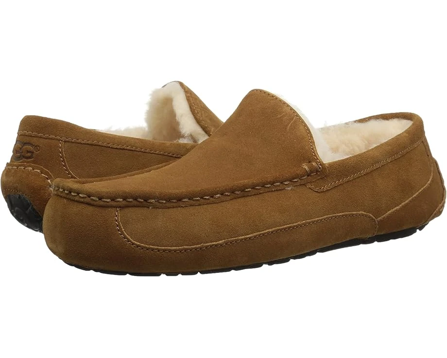 UGG Wide Ascot 1 UGG Wide Ascot